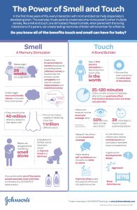 JOHNSON'S Science of the Senses Infographic - Honeybear Lane