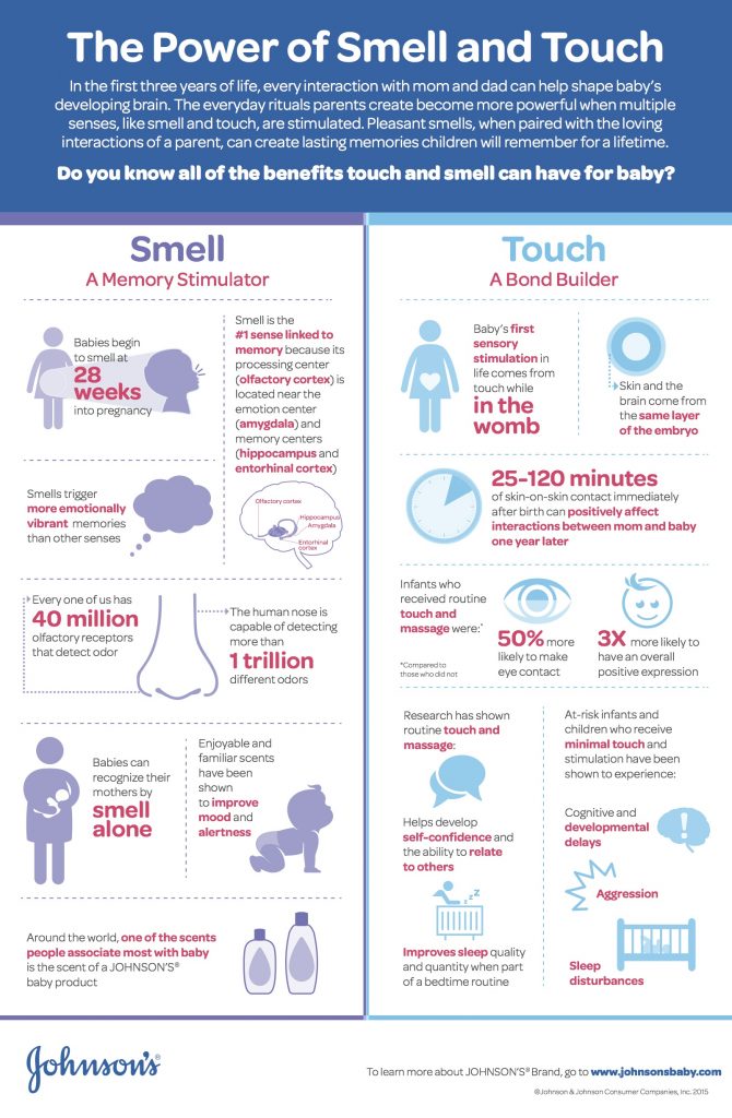 JOHNSON'S Science of the Senses Infographic - Honeybear Lane