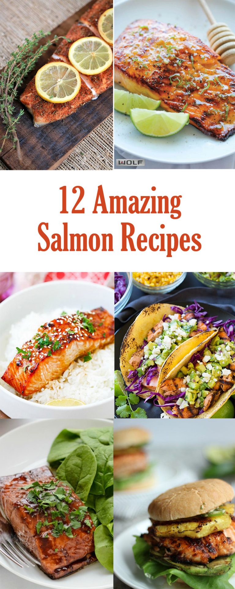 12 Amazing Salmon Recipes - Honeybear Lane