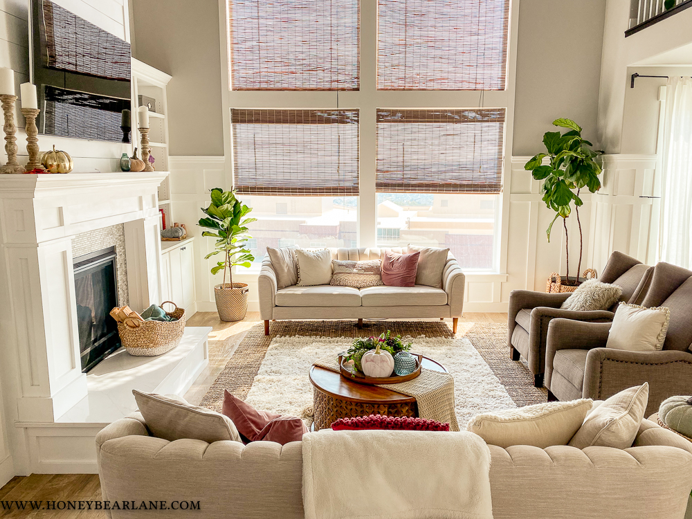 oranic modern living room
